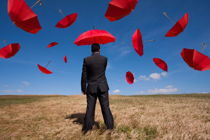 Risk Management & Internal Controls